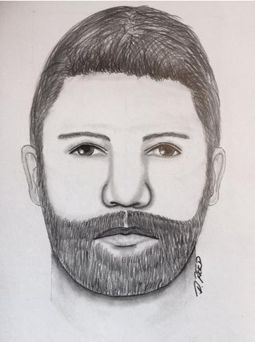 suspect-sketch